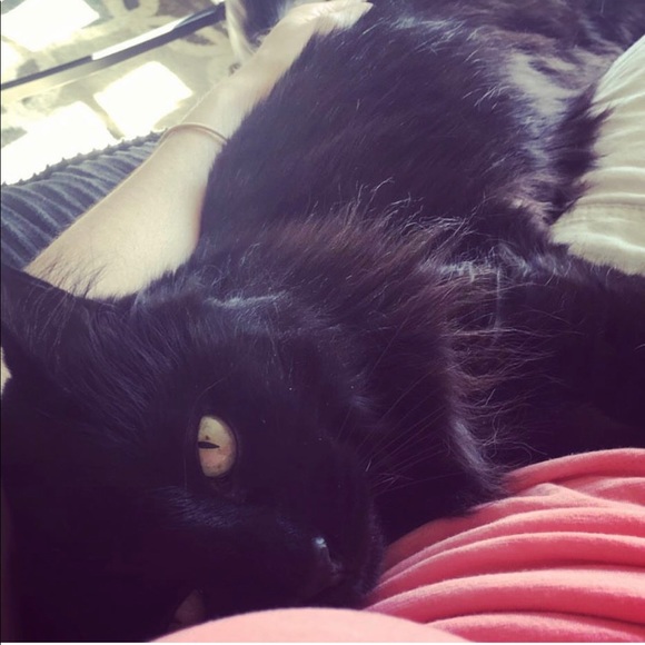 Meet your Posher, Jackie - Picture 7 of 9